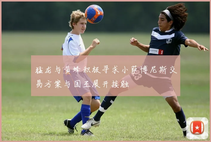 猛龙与黄蜂积极寻求小萨博尼斯交易方案与国王展开接触